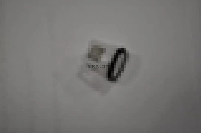 25392.jpg