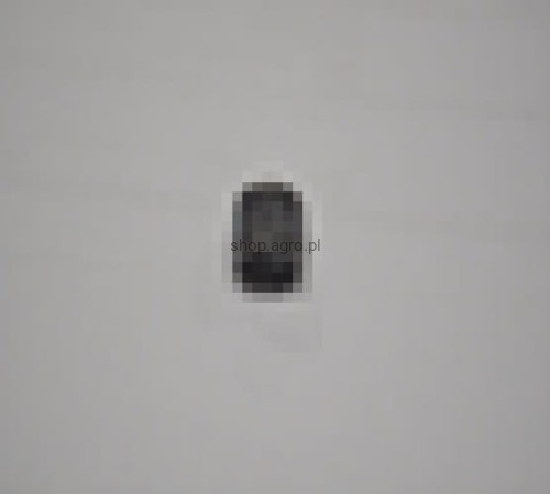 25375.jpg