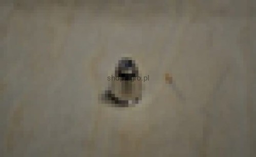 25348.jpg