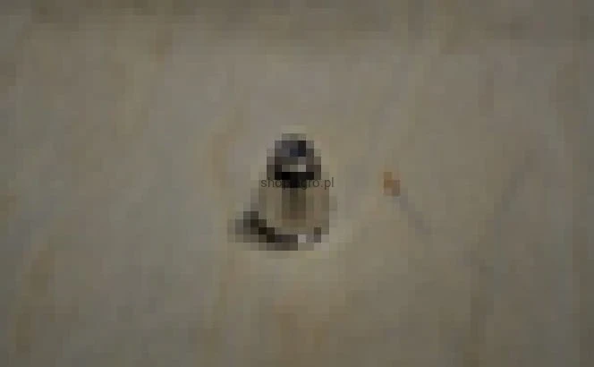 25348.jpg