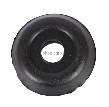48925.jpg