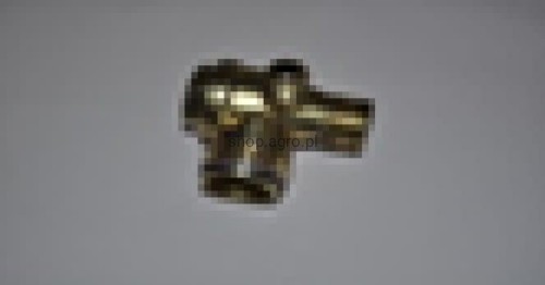 25337.jpg