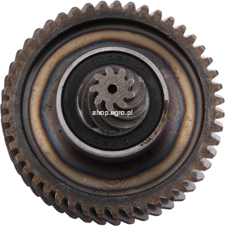 56004.png