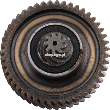 56004.png