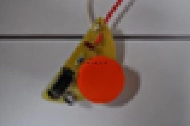 25311.jpg