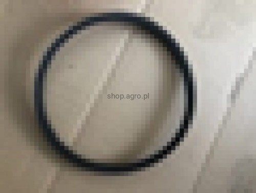 25302.jpg