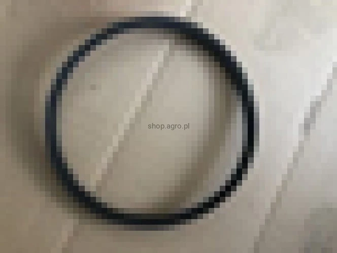 25302.jpg