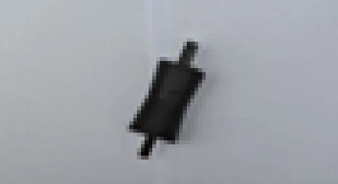 25301.jpg