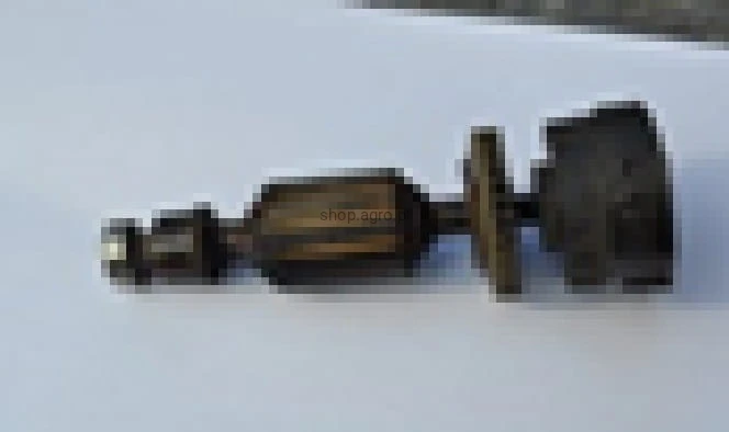 25274.jpg