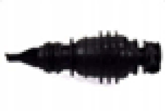 25250.jpg