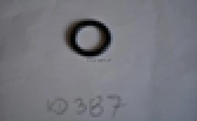 25249.jpg