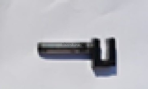 25247.jpg