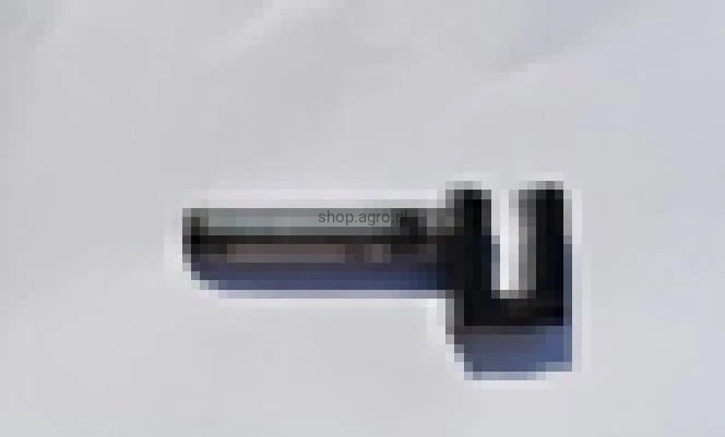 25247.jpg