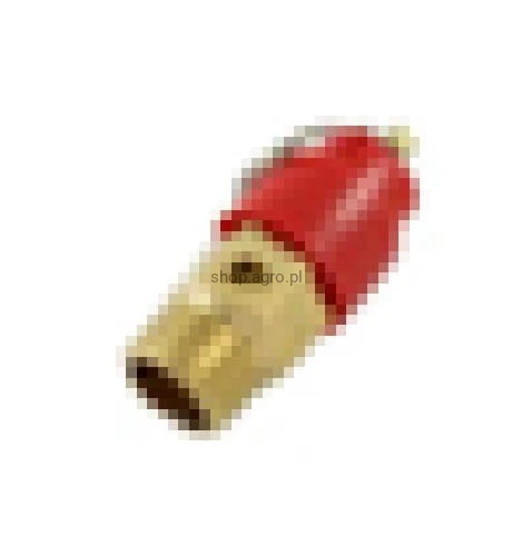 25246.jpg