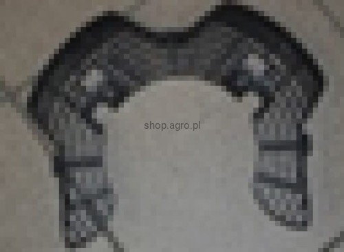 25225.jpg