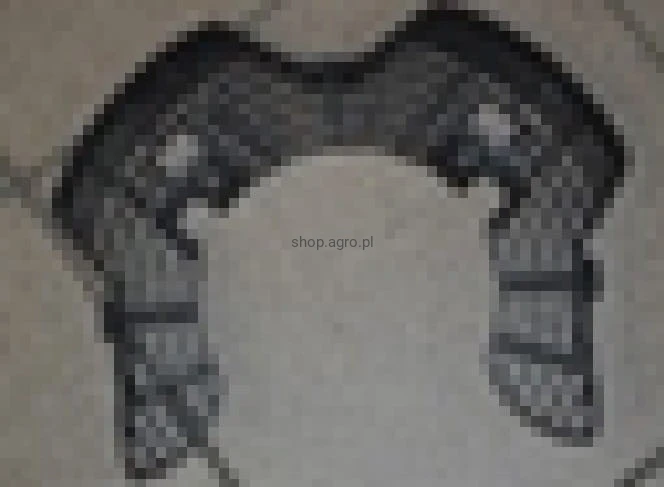 25225.jpg