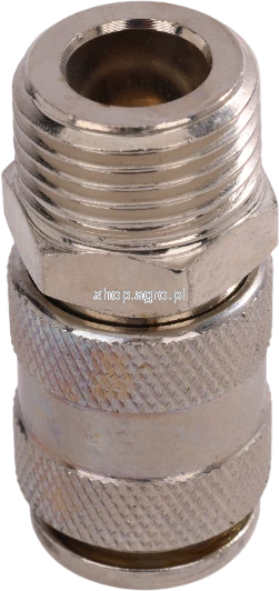 53138.png