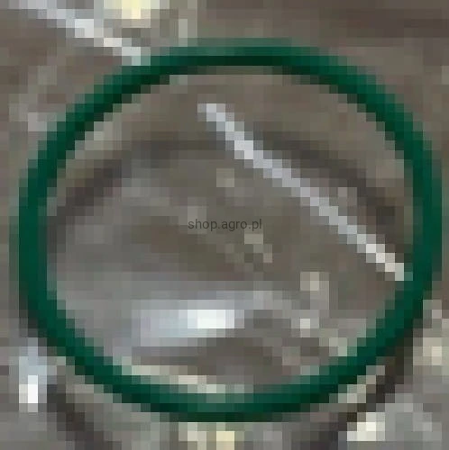 25204.jpg