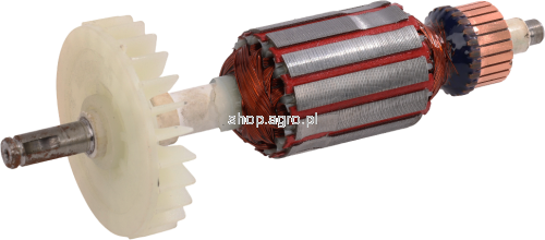 50334.png