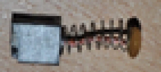 25157.jpg