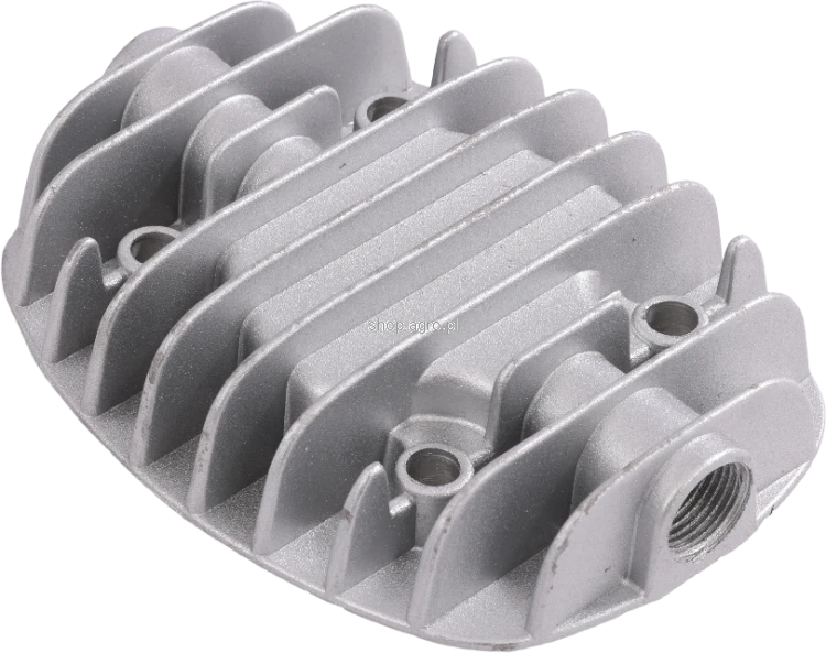 50238.png