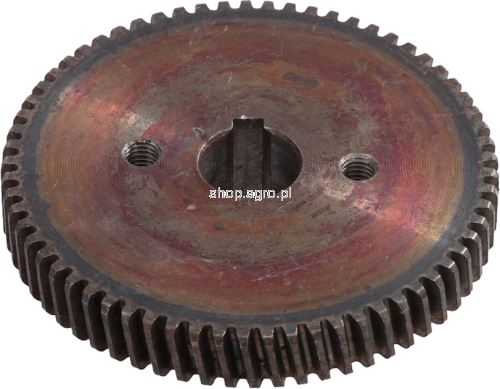 50225.png