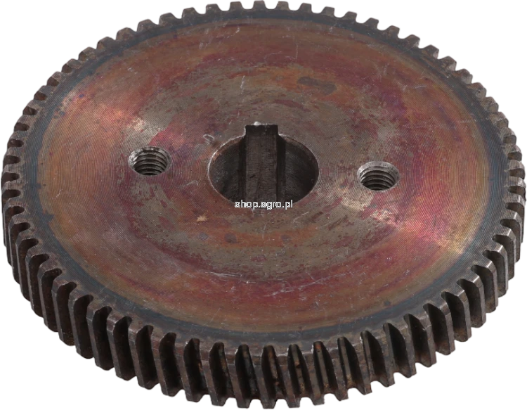 50225.png