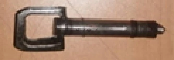 25100.jpg