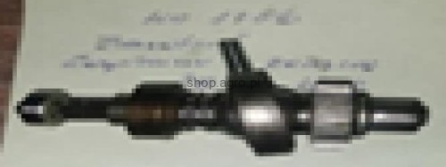 25079.jpg