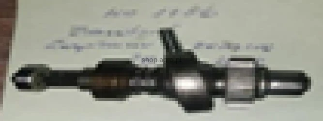 25079.jpg