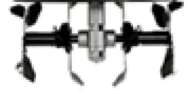 25032.jpg
