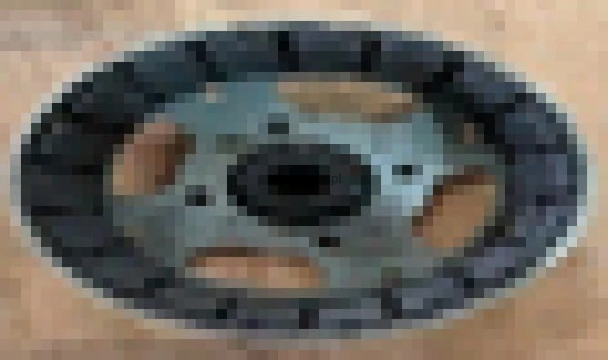 25002.jpg