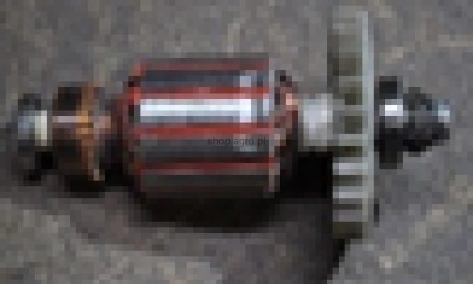 24958.jpg
