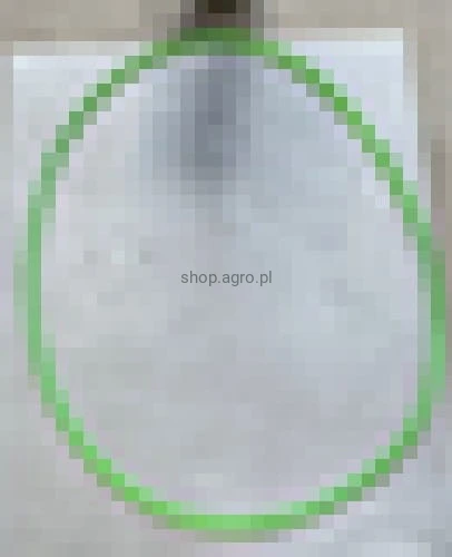 24944.jpg