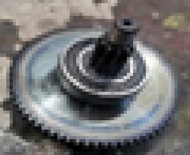 24931.jpg