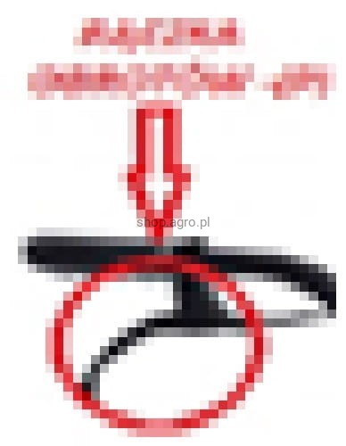 24910.jpg