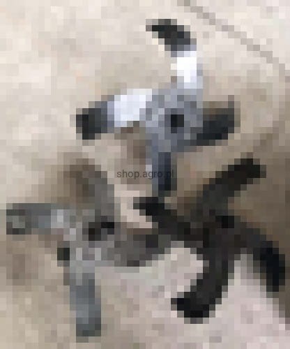 24907.jpg