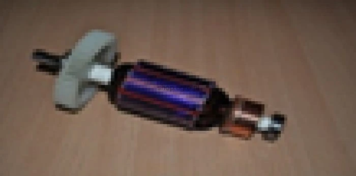 24865.jpg