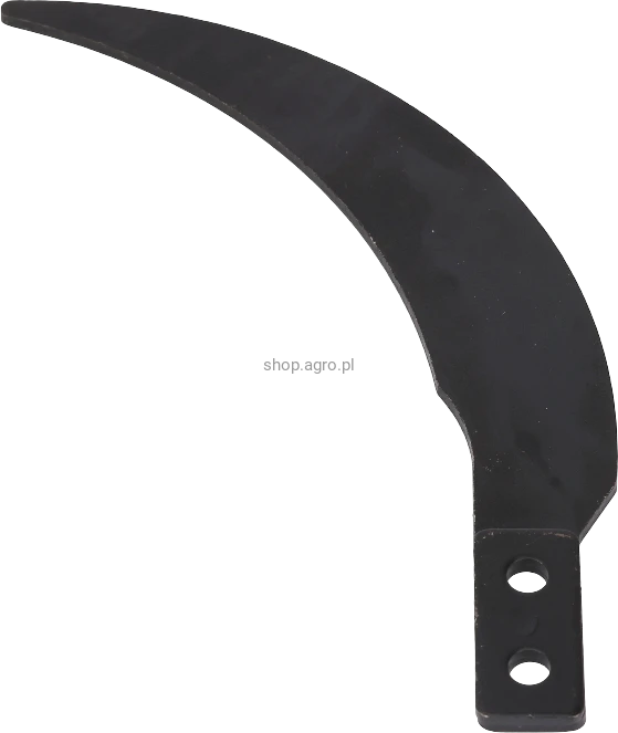 50798.png