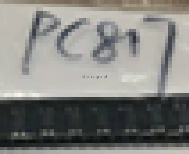 24828.jpg