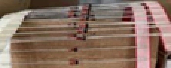 24821.jpg