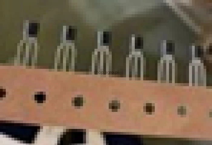 24820.jpg