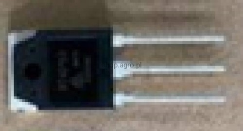 24819.jpg