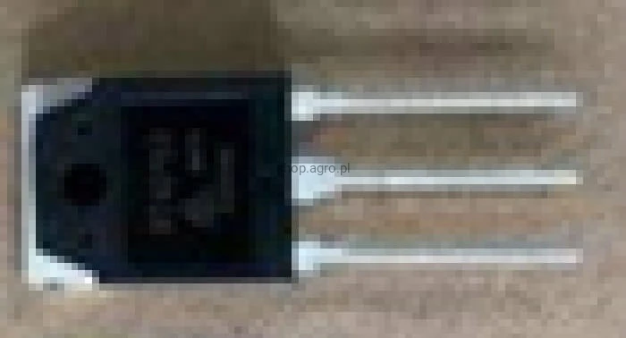 24819.jpg