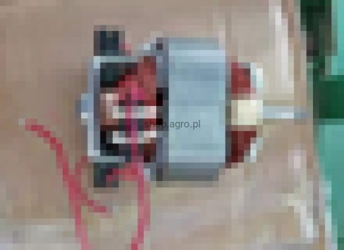 24814.jpg
