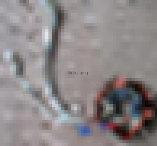 24797.jpg