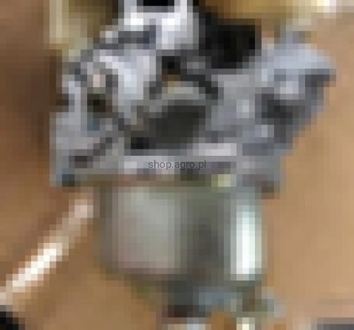 24795.jpg