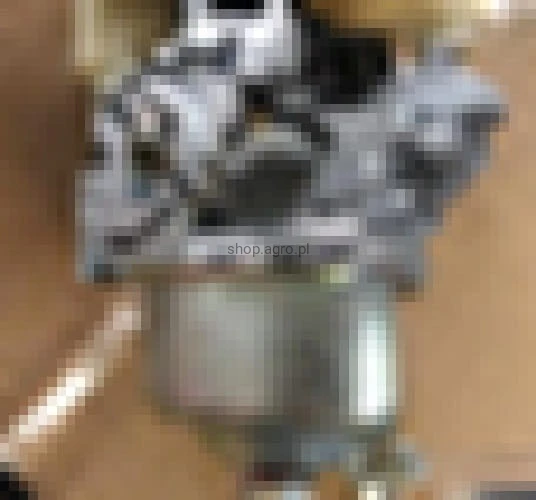 24795.jpg