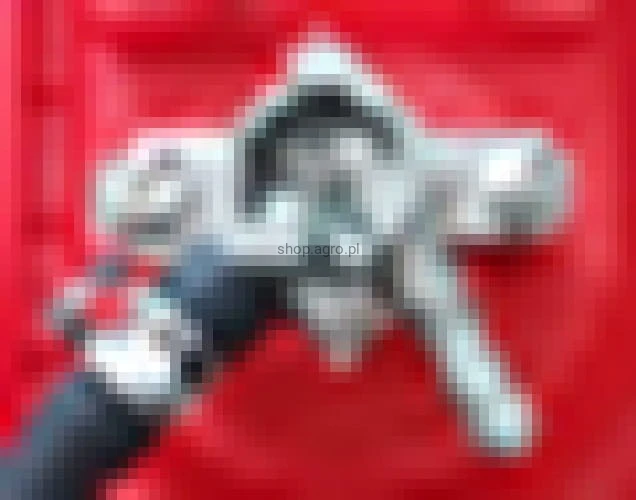 24794.jpg