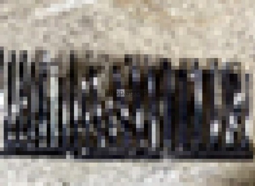 24772.jpg